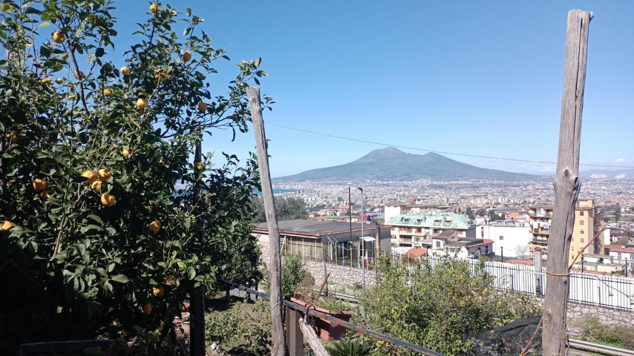 B&B Il Limoneto Gragnano Eksteriør billede