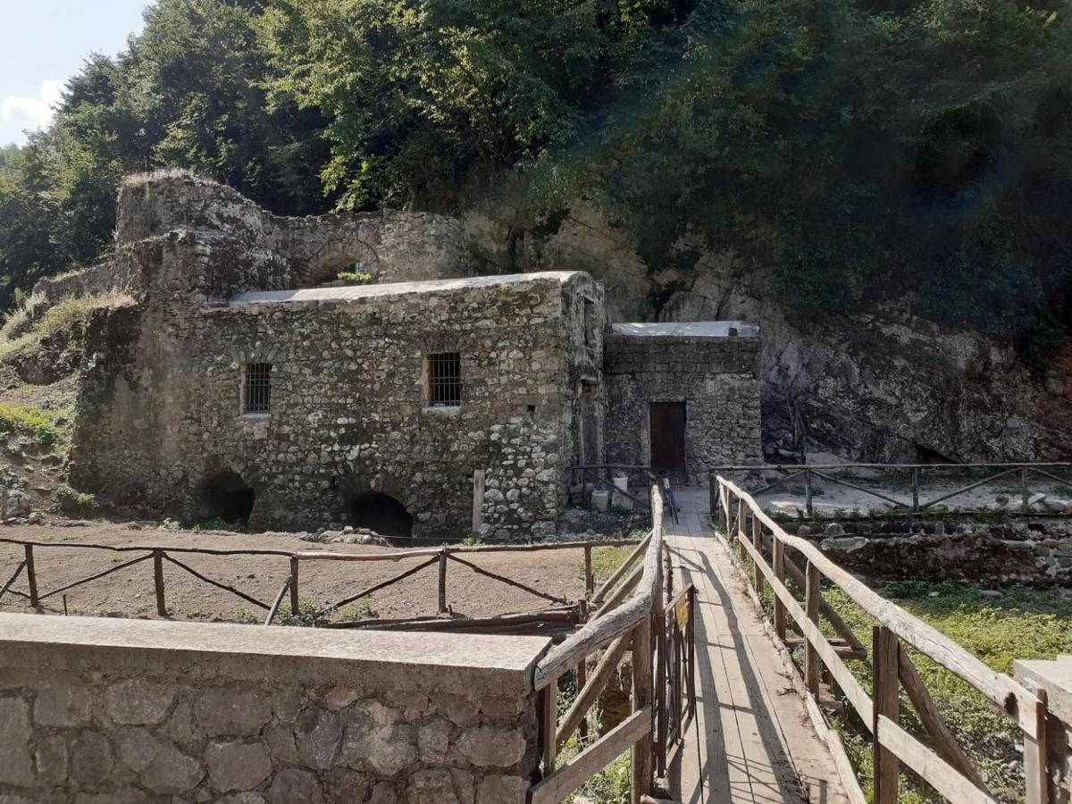 B&B Il Limoneto Gragnano Eksteriør billede