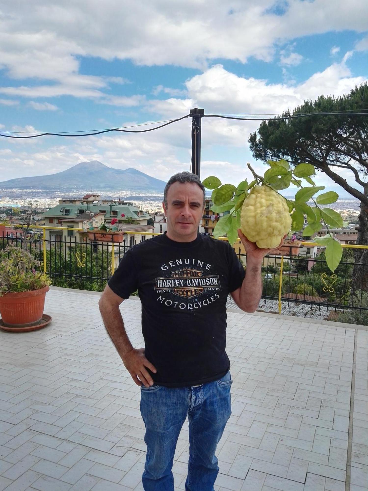B&B Il Limoneto Gragnano Eksteriør billede